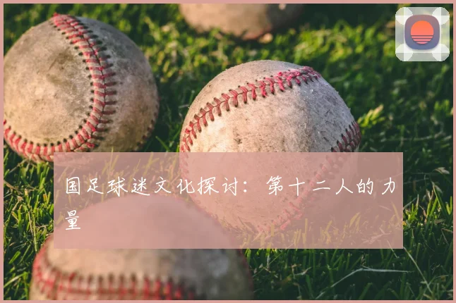 国足球迷文化探讨：第十二人的力量